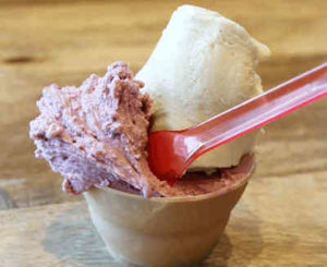 gluten free gelato dairy & egg free
